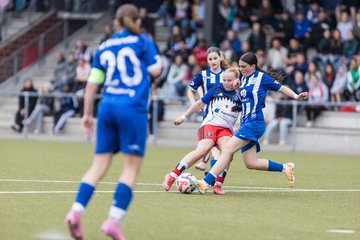 Bild 225 - wBJ Hamburger SV - FC Suederelbe : Ergebnis: 9:0